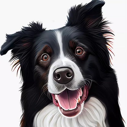 Dog Border Collie | Diamond Painting