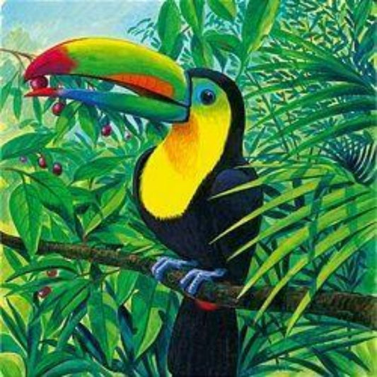 Toucan Bird | Diamond Painting