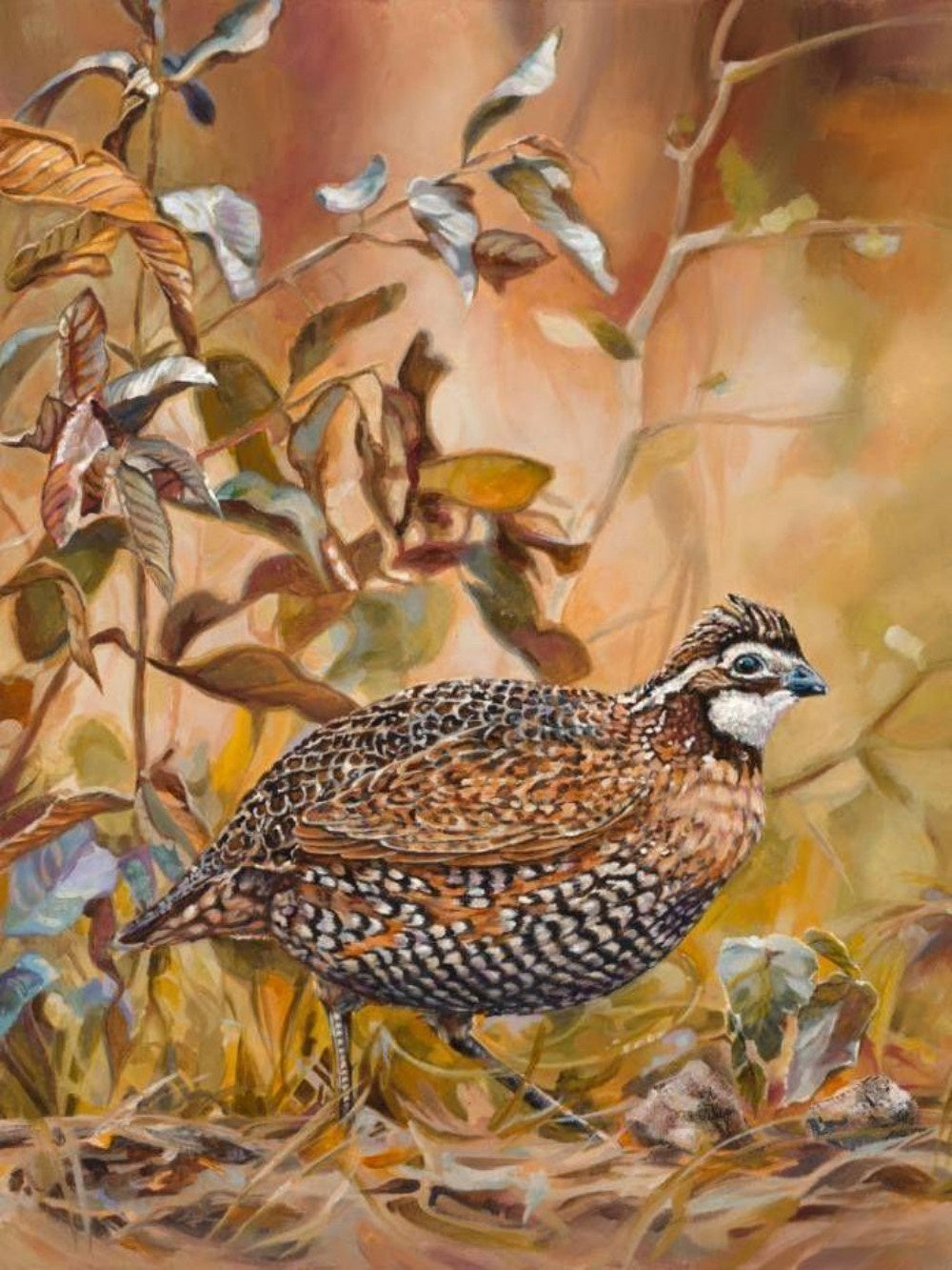 Quail | Diamond Painting