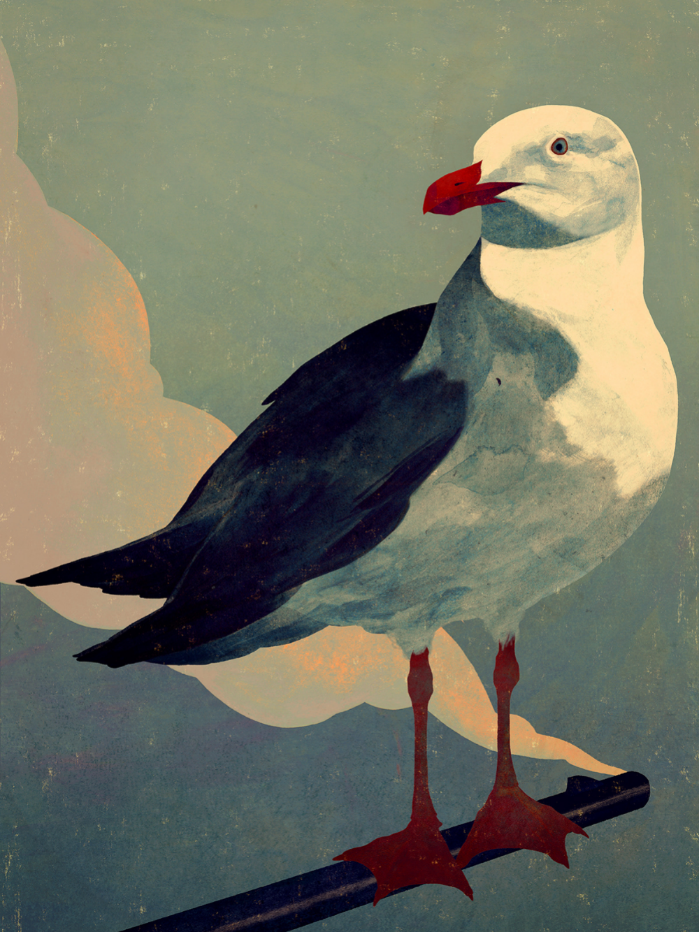 Gull | Diamond Painting