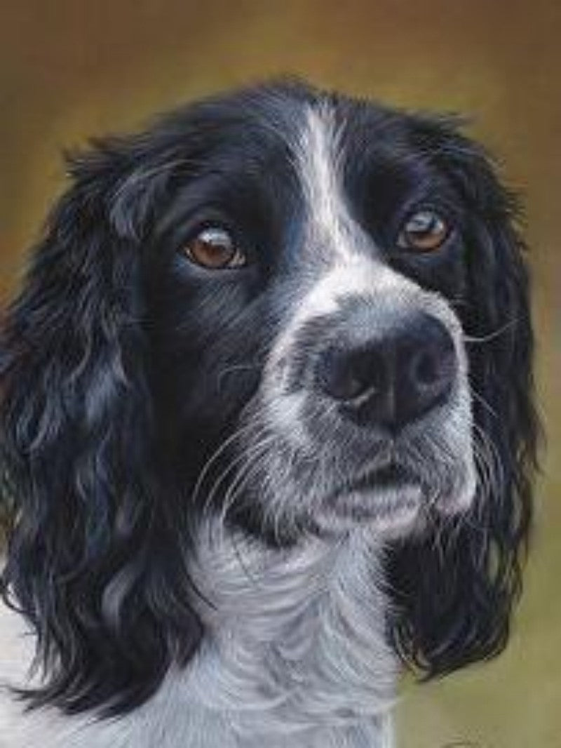 English Springer Spaniel Dog | Diamond Painting