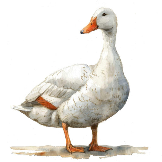 Duck | Diamond Painting