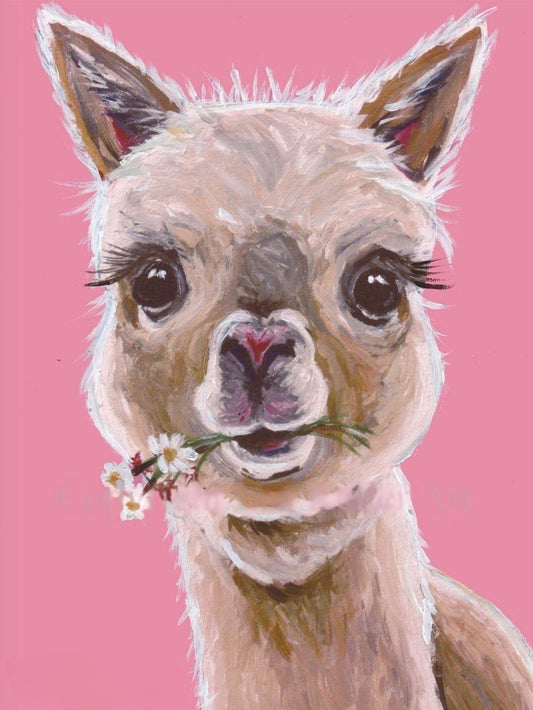 Alpaca | Diamond Painting