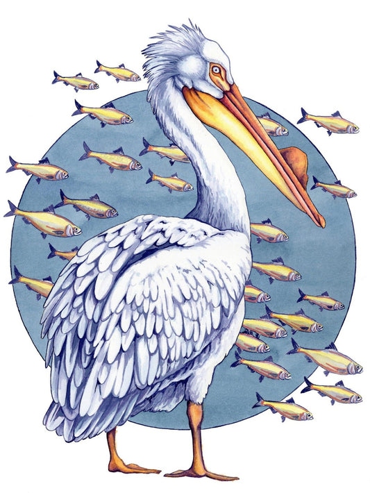 Pelican | Diamond Painting