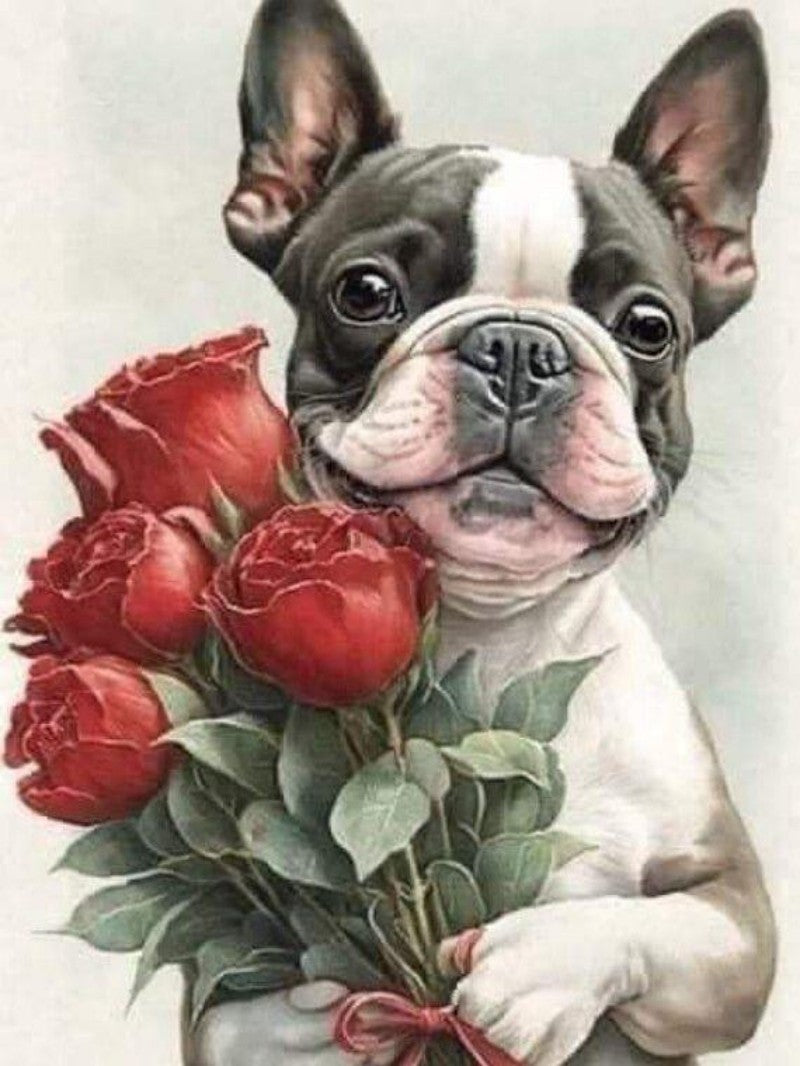 Boston Terrier Dog | Diamond Painting