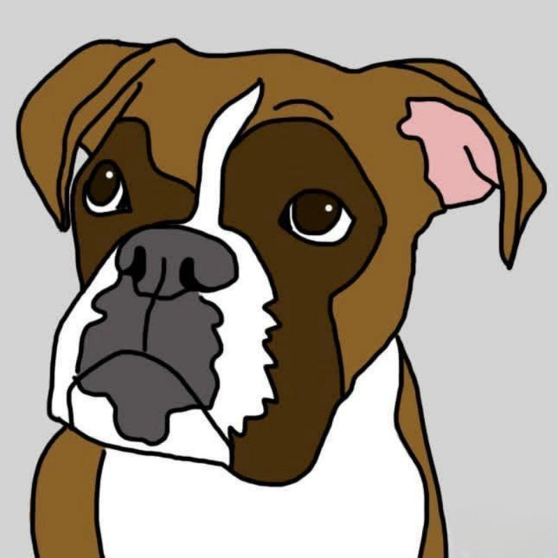 Boxer Dog | Diamond Painting
