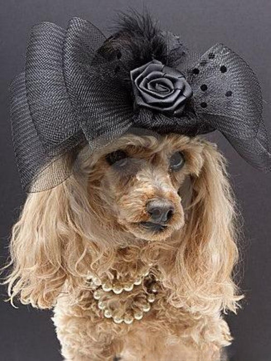 Poodle Dog | Diamond Painting