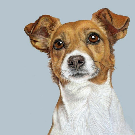 Dog Jack Russell | Diamond Painting