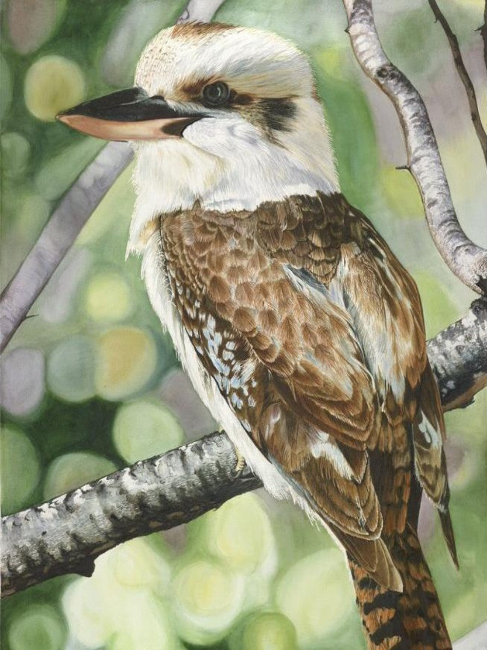 Kookaburra | Diamond Painting