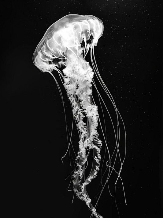 Jellyfish | Diamond Painting