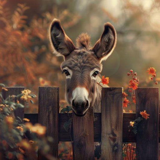 Donkey | Diamond Painting