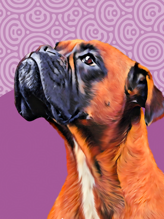 Boxer Dog | Diamond Painting