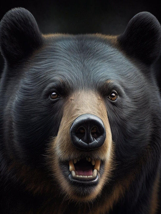 Black Bear | Diamond Painting