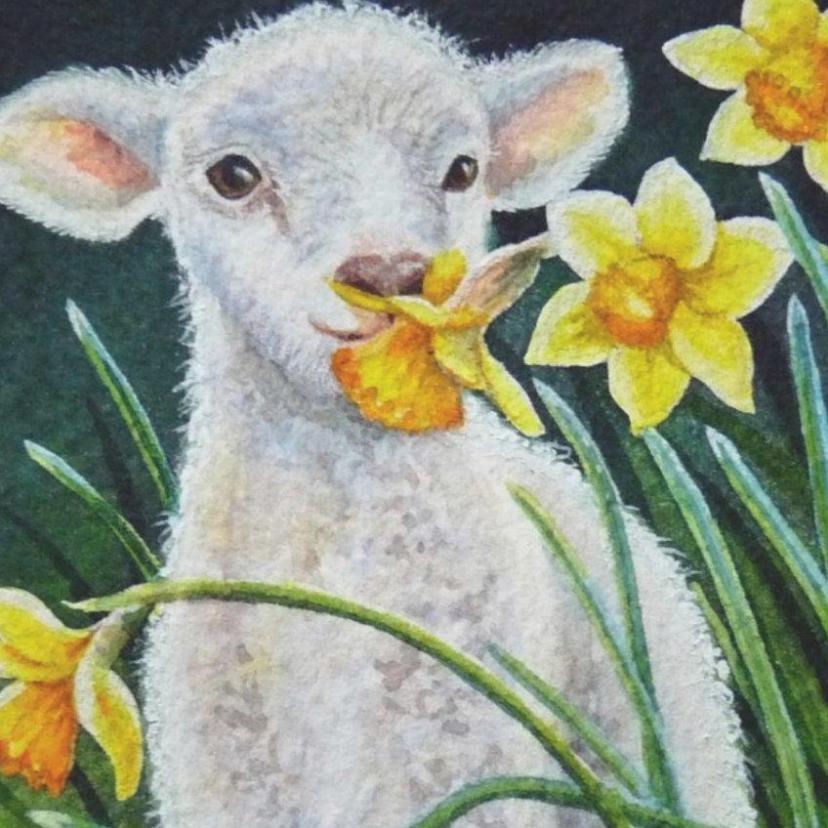 Sheep | Diamond Painting