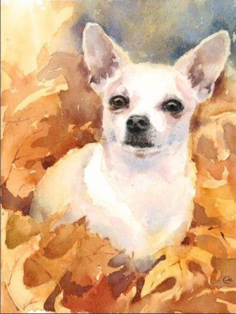 Dog Chihuahua | Diamond Painting