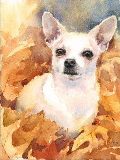 Dog Chihuahua | Diamond Painting