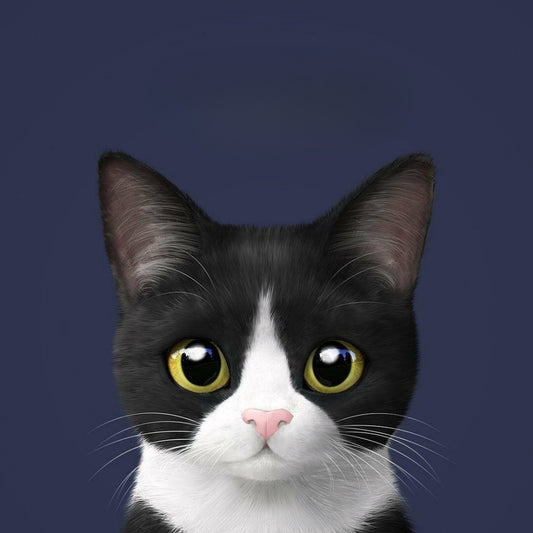 Tuxedo Cat  | Diamond Painting