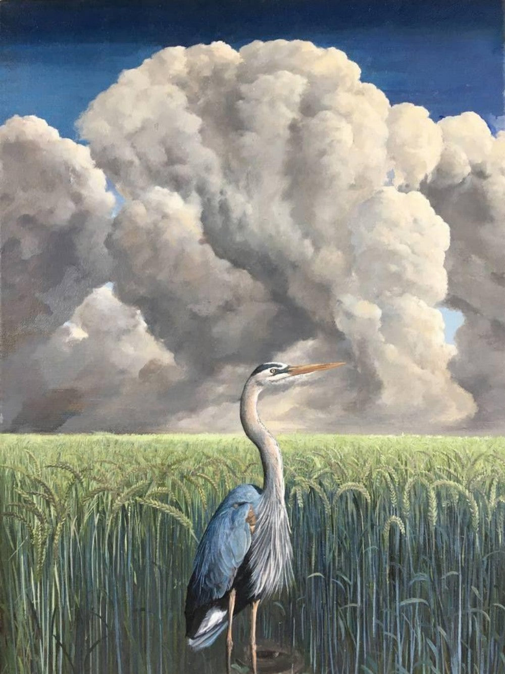 Blue Heron | Diamond Painting