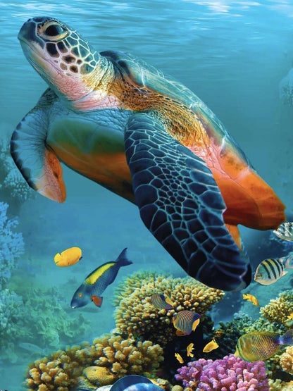 Turtle | Diamond Painting