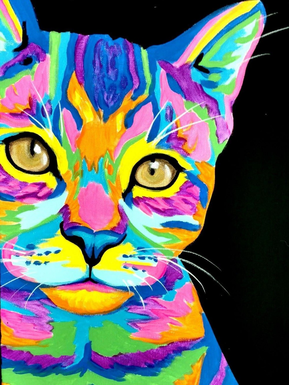 Colorful Cat | Diamond Painting