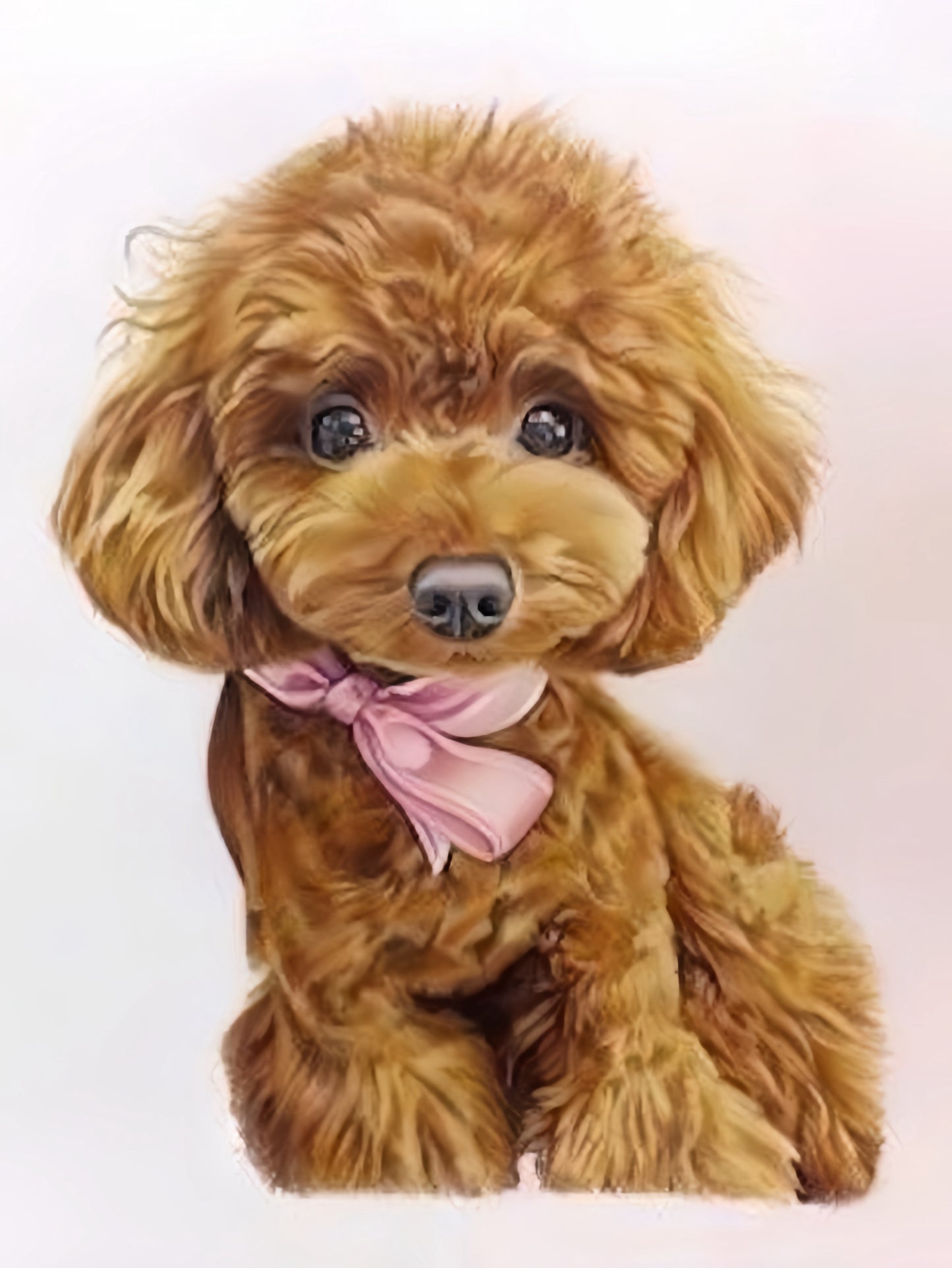 Labradoodle Dog | Diamond Painting