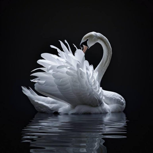 Swan | Diamond Painting