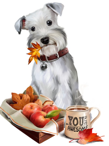 Dog Schnauzer | Diamond Painting