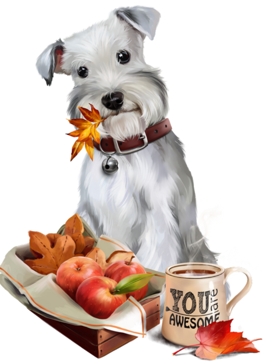 Dog Schnauzer | Diamond Painting