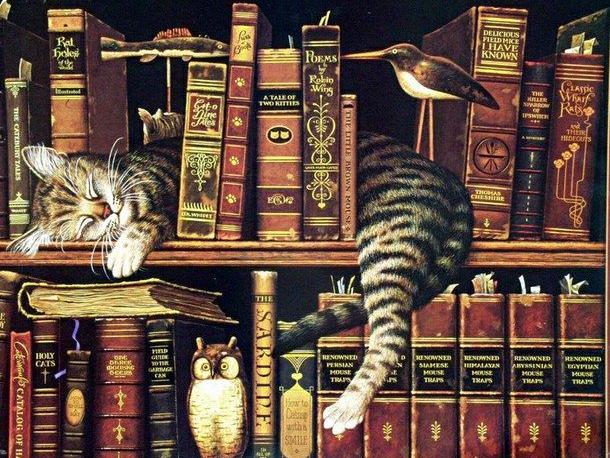 Cat Bookshelf | Diamond Painting