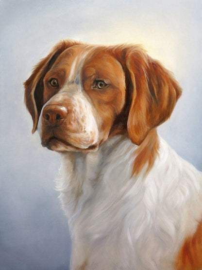 Brittany Spaniel Dog | Diamond Painting