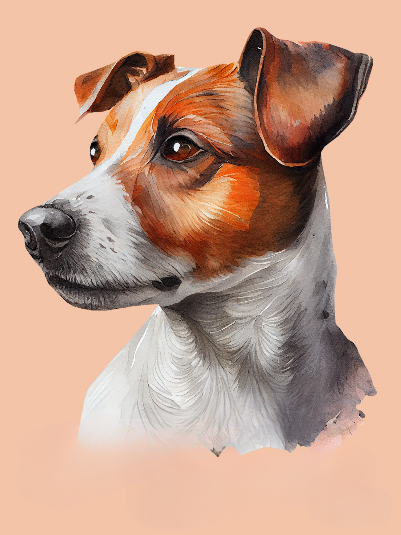 Dog Jack Russell | Diamond Painting