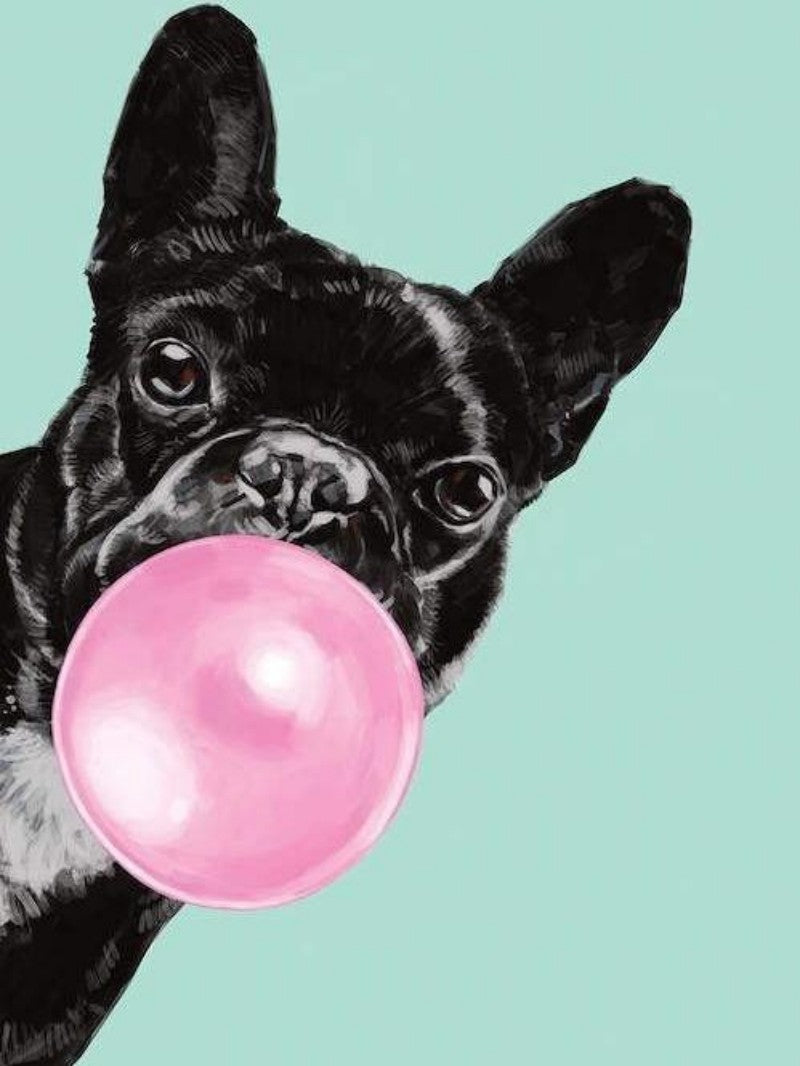 French Bulldog Dog | Diamond Painting