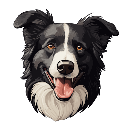 Dog Border Collie | Diamond Painting