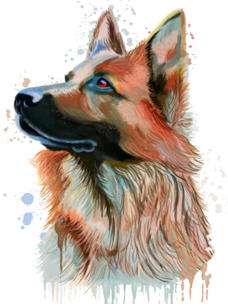 Dog German Shepherd | Diamond Painting