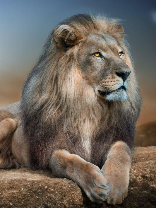 Lion | Diamond Painting