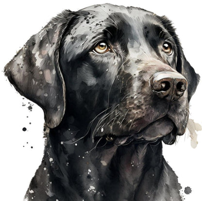 Black Labrador Dog | Diamond Painting