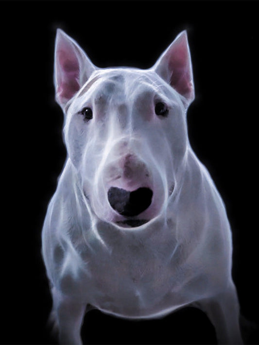 English Bull Terrier Dog | Diamond Painting