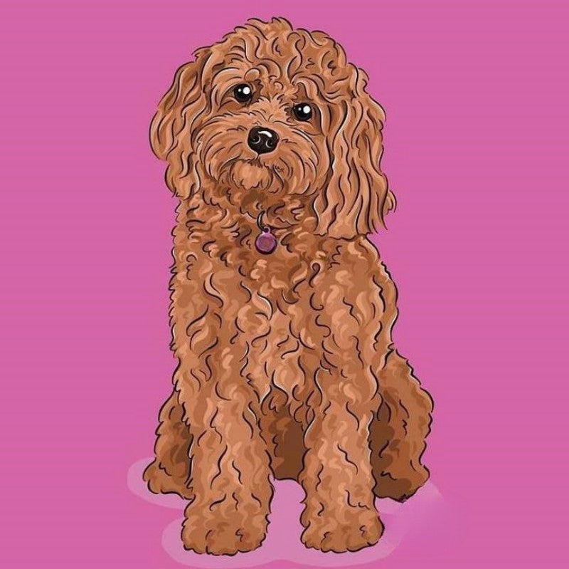 Cavapoo Dog | Diamond Painting