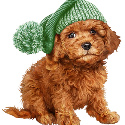 Cavapoo Dog | Diamond Painting