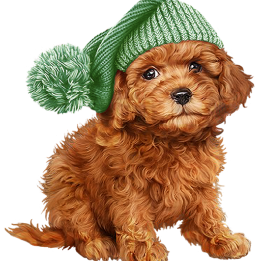 Cavapoo Dog | Diamond Painting