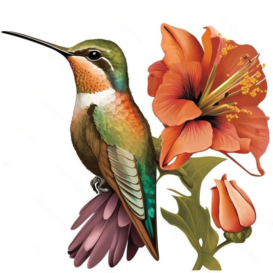 Hummingbird | Diamond Painting