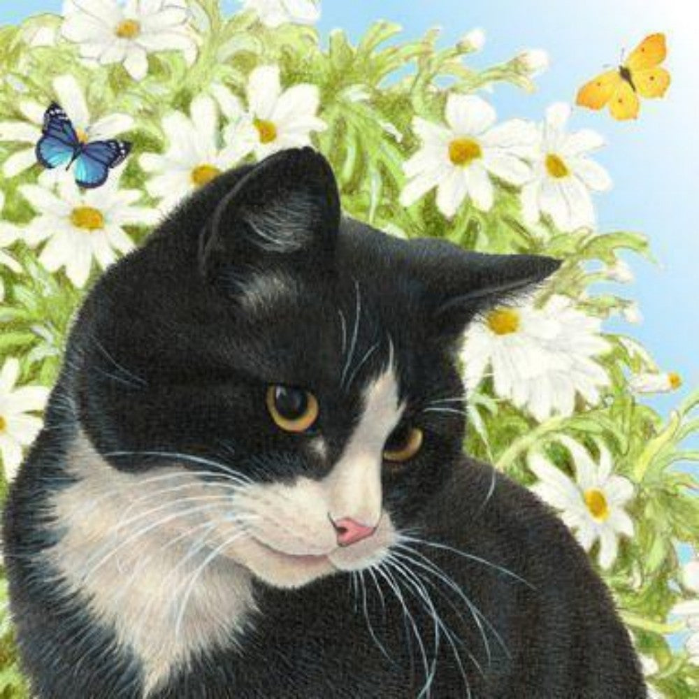 Tuxedo Cat  | Diamond Painting