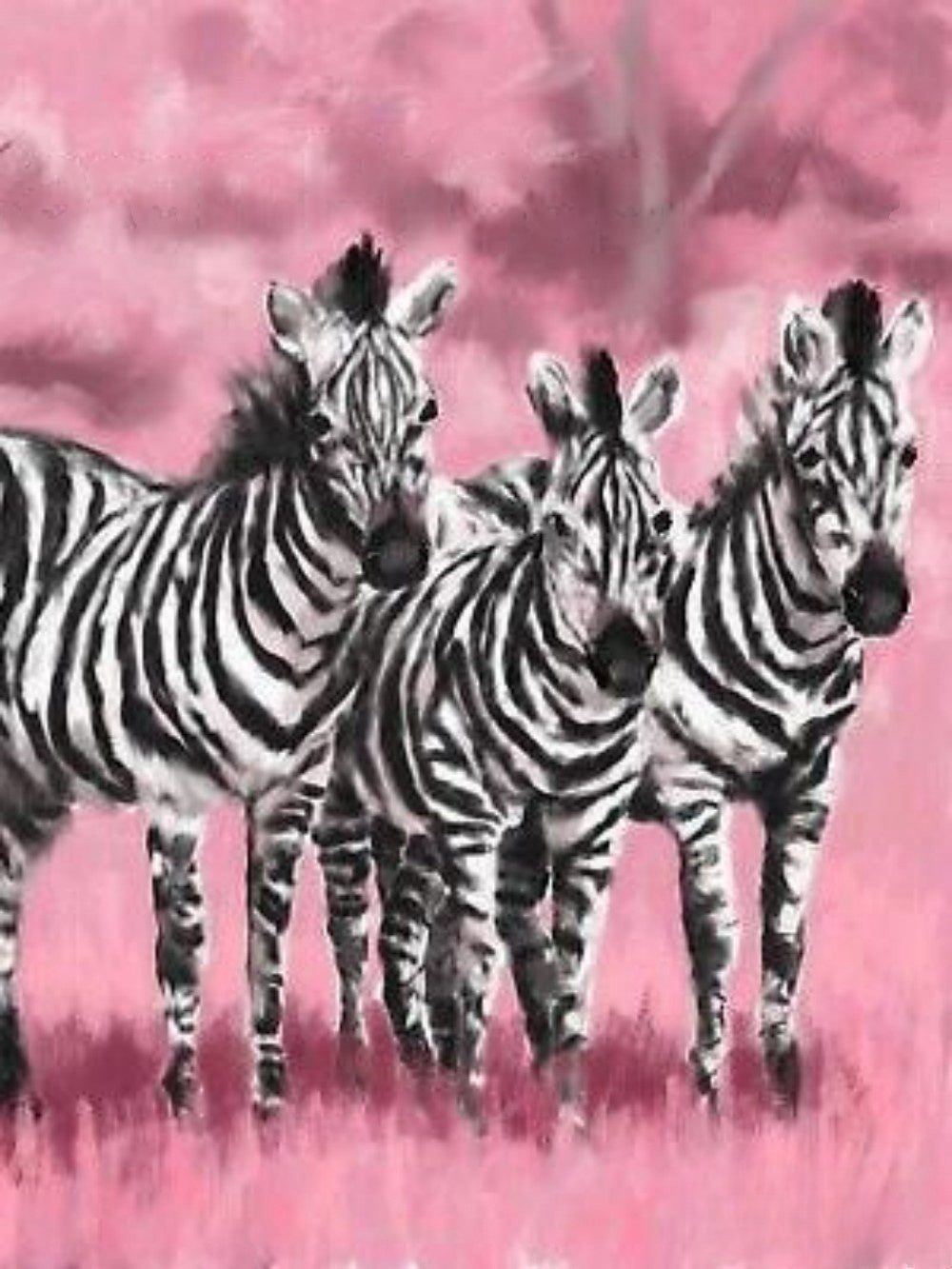 Zebra | Diamond Painting
