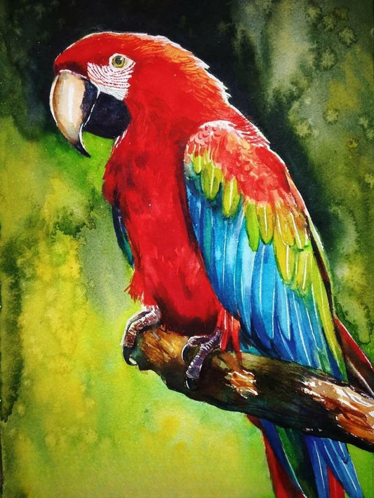 Macaw | Diamond Painting