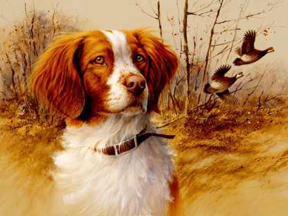 Brittany Spaniel Dog | Diamond Painting
