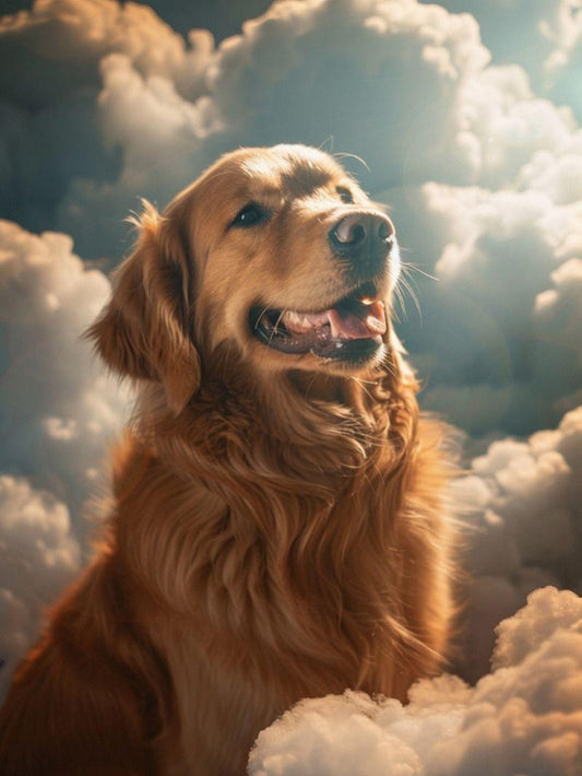 Yellow Labrador Dog | Diamond Painting