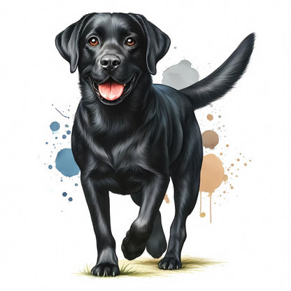 Black Labrador Dog | Diamond Painting