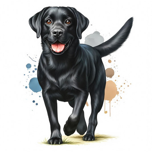 Black Labrador Dog | Diamond Painting