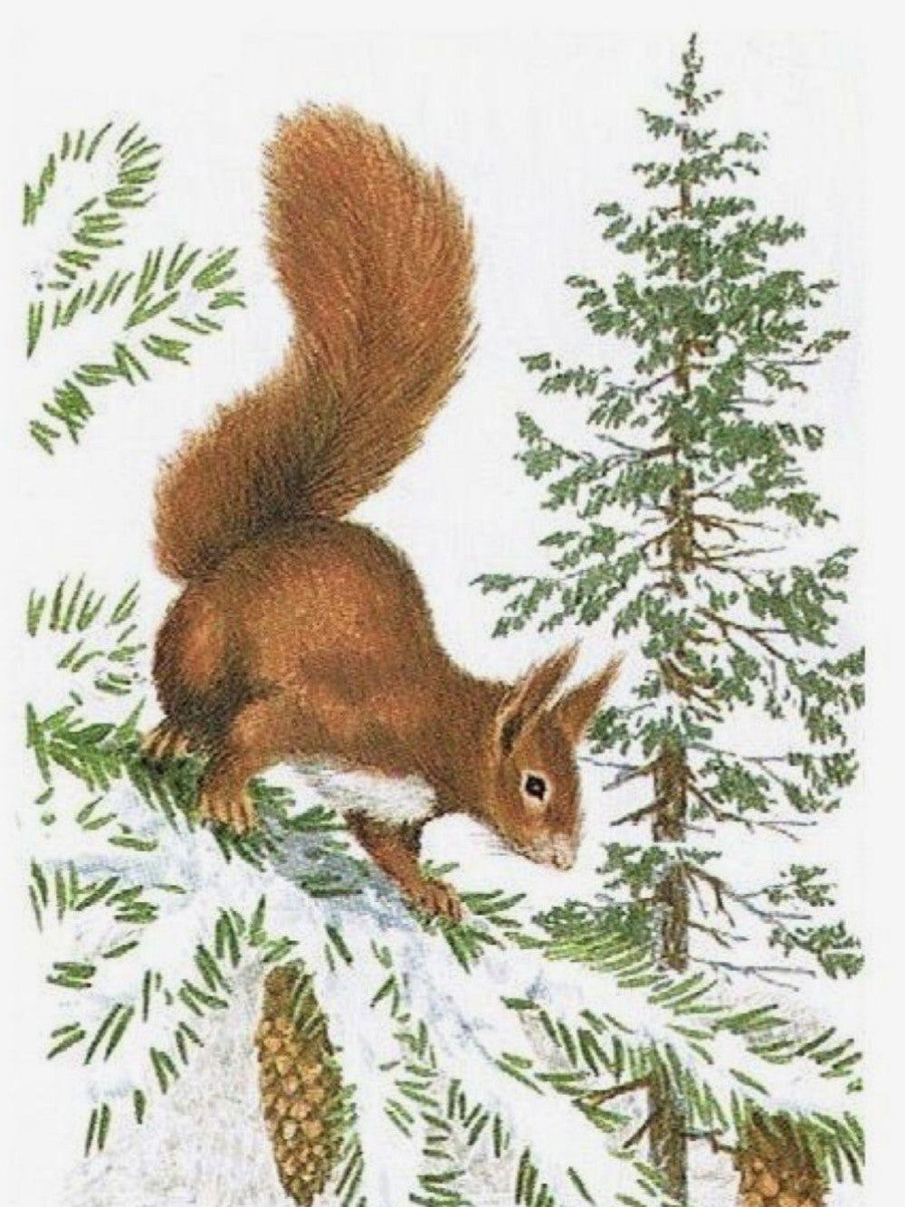 Squirrel | Diamond Painting