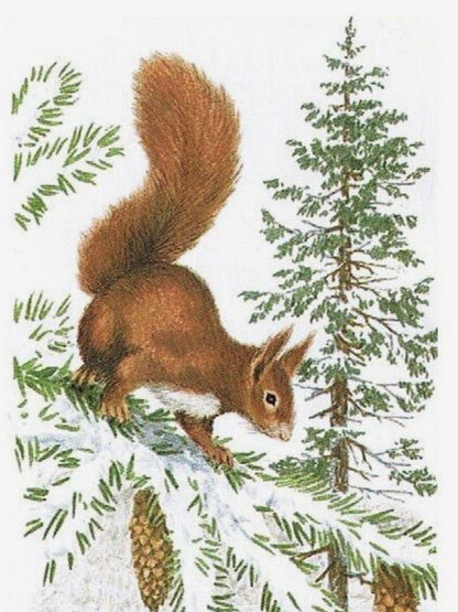 Squirrel | Diamond Painting